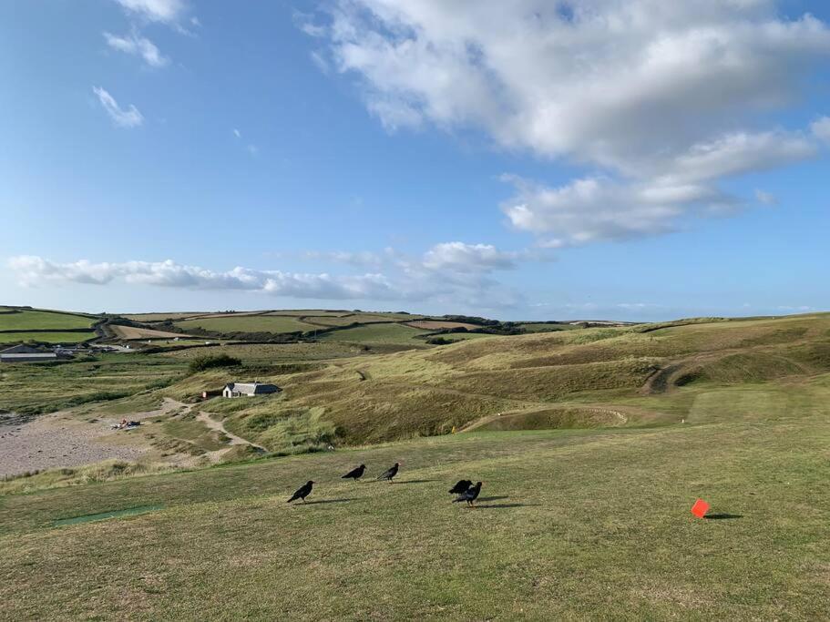 Chough Cottage هيلستون المظهر الخارجي الصورة